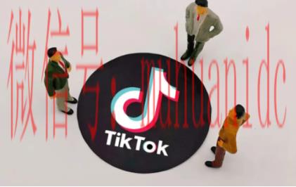 tiktok账号购买平台