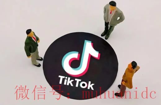 tiktok账号购买平台