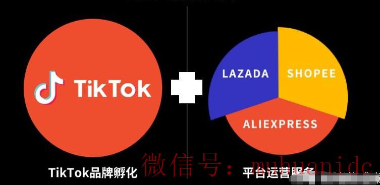 tiktok账号购买平台