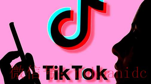 tiktok账号购买平台