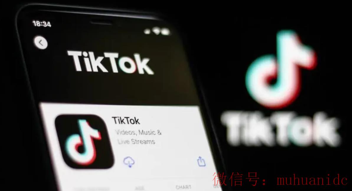 tiktok账号购买平台