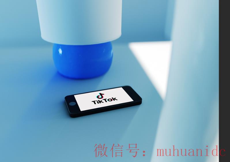 tiktok账号购买平台