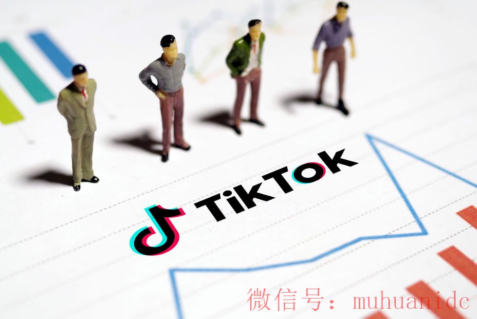 tiktok账号购买平台
