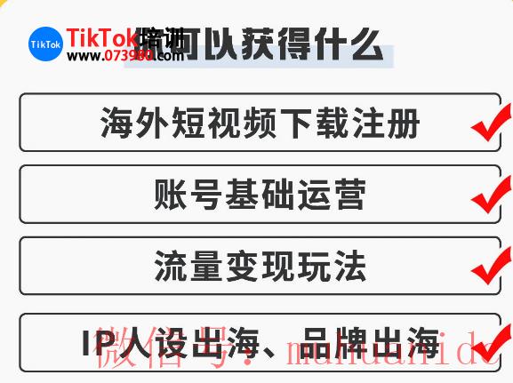 tiktok账号购买平台