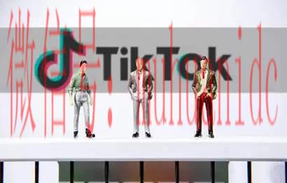 TikTok账号购买平台
