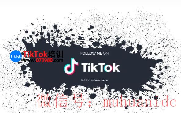 tiktok账号购买平台