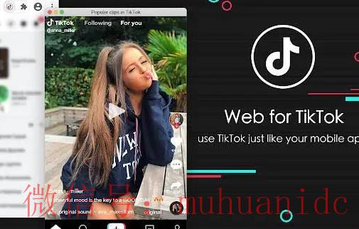 tiktok账号购买平台