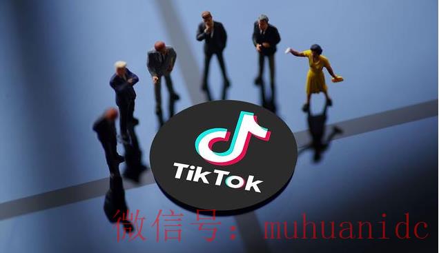 tiktok账号购买平台