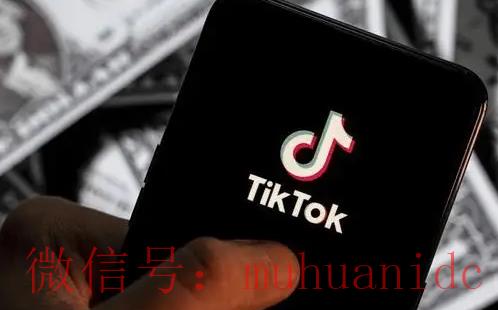 tiktok账号购买平台