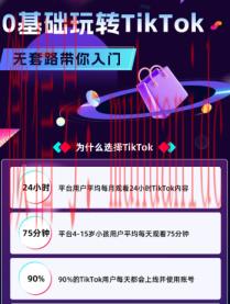 tiktok账号购买平台