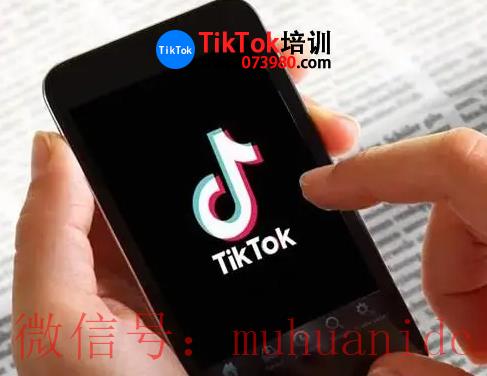 tiktok账号购买平台