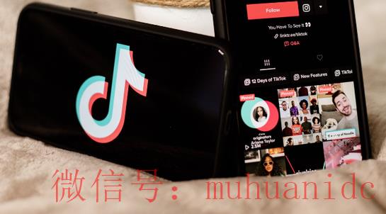 tiktok账号购买平台