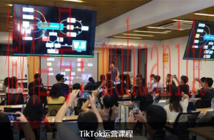 tiktok账号购买平台