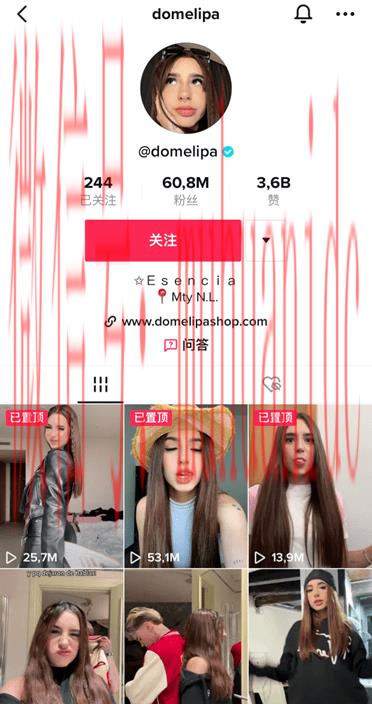 tiktok账号购买平台