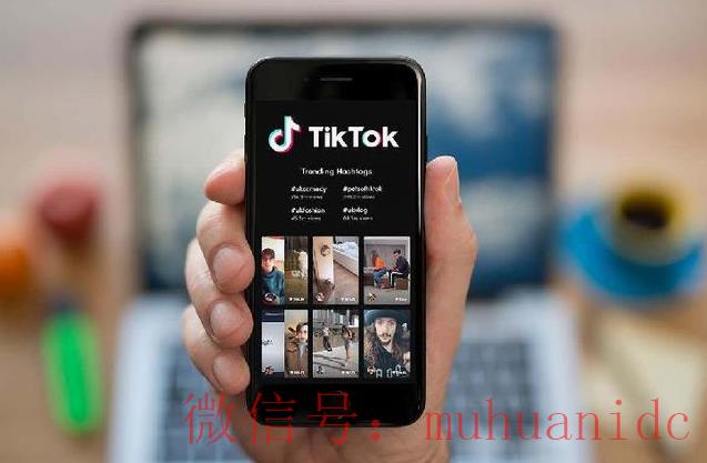 tiktok账号购买平台