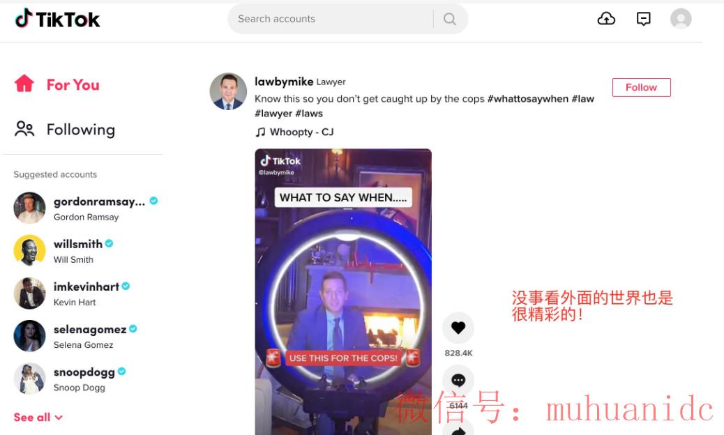 tiktok账号购买平台
