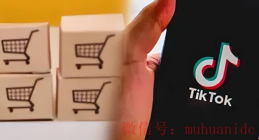 tiktok账号购买平台