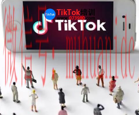 tiktok账号购买平台
