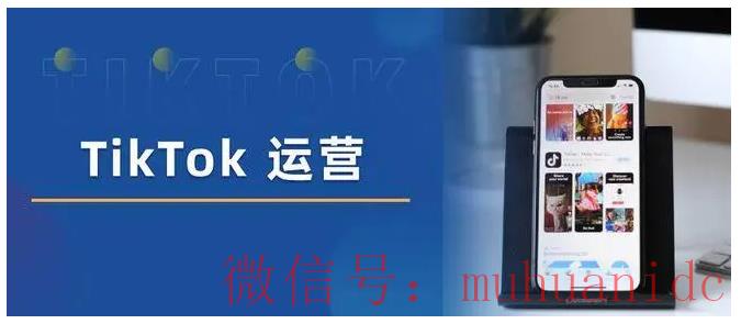 tiktok账号购买平台