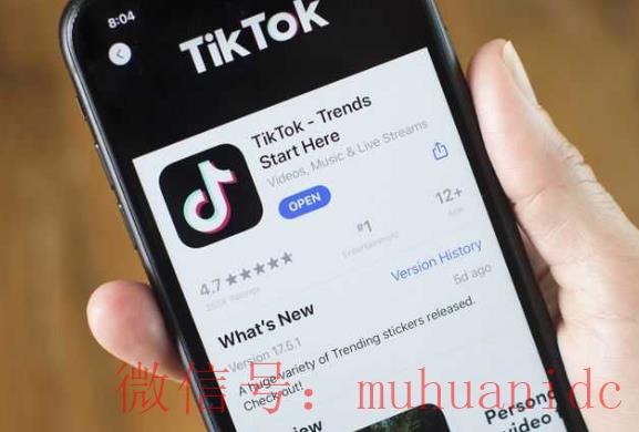tiktok账号购买平台