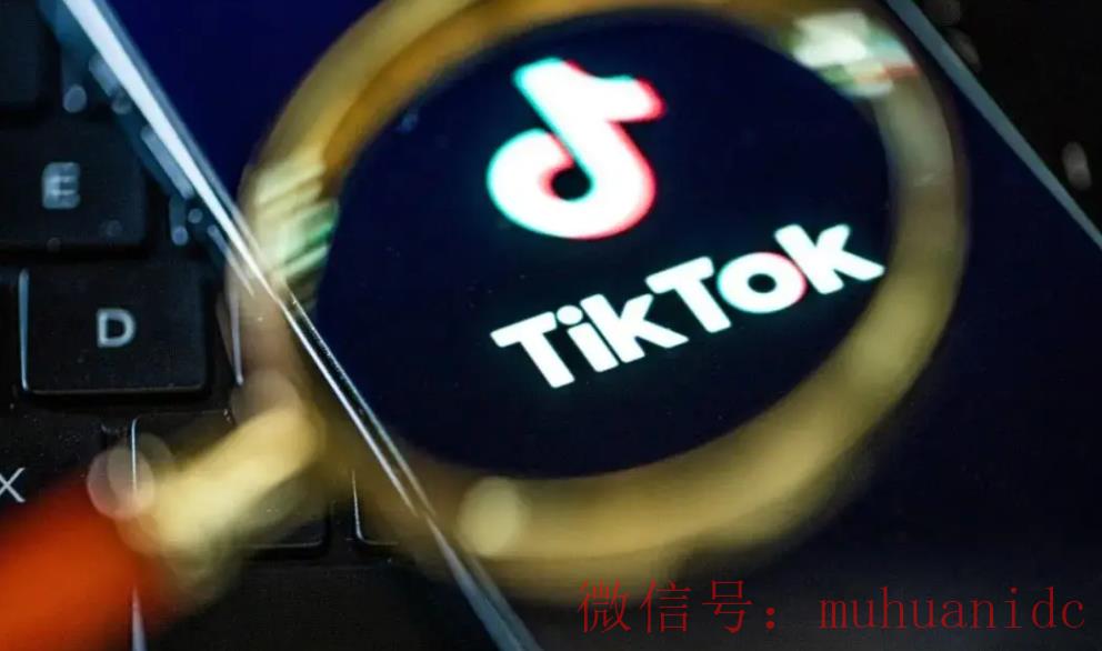 tiktok账号购买平台