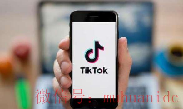tiktok账号购买平台