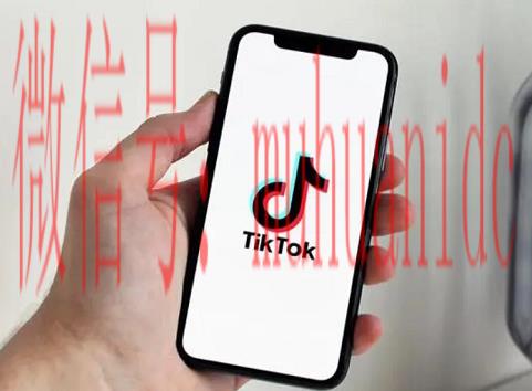 tiktok账号购买平台