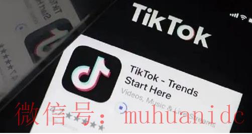 tiktok账号购买平台