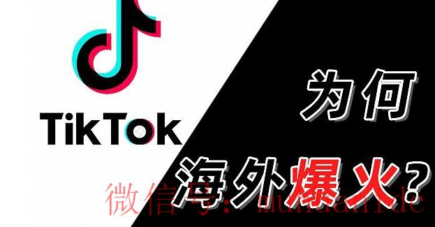 tiktok账号购买平台