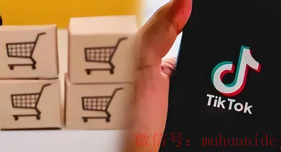 tiktok账号购买平台