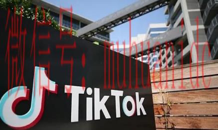 tiktok账号购买平台