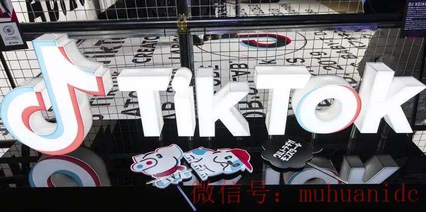 tiktok账号购买平台
