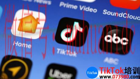 tiktok账号购买平台