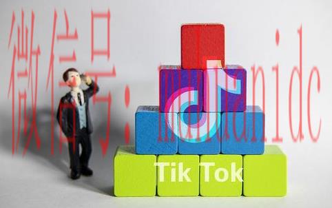 tiktok账号购买平台