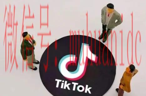 tiktok账号购买平台