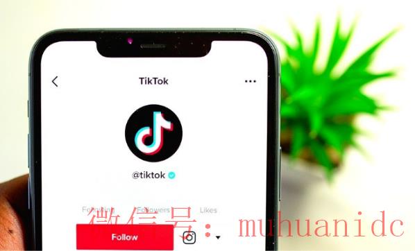 tiktok账号购买平台