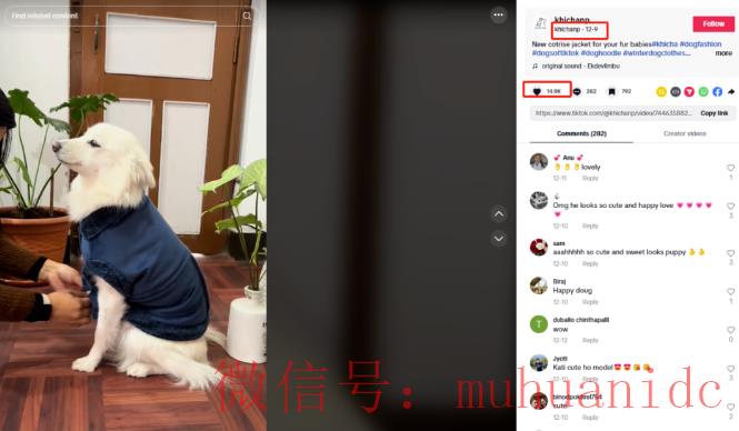 tiktok账号购买平台